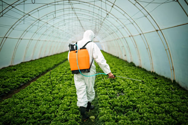 Best Residential Pest Control  in Warsaw, VA