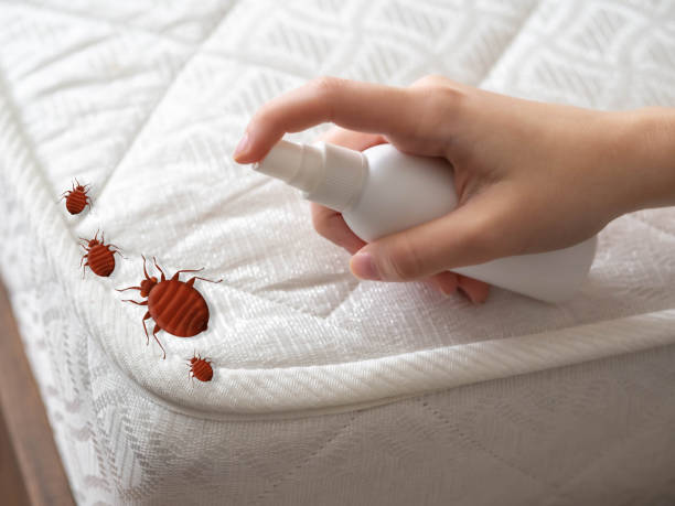 Best Pest Removal Services  in Warsaw, VA