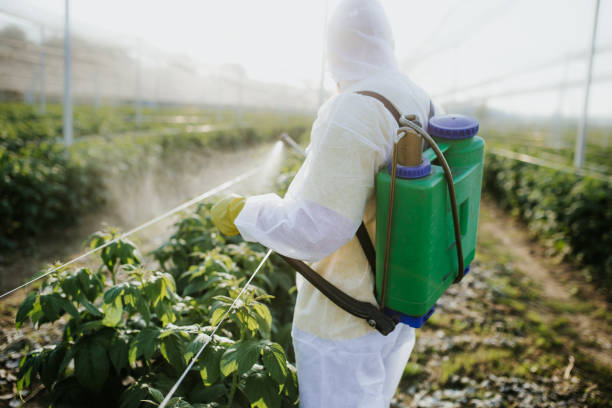 Best Best Pest Control Companies  in Warsaw, VA